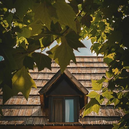 Guesthouse Pashko Theth Εξωτερικό φωτογραφία