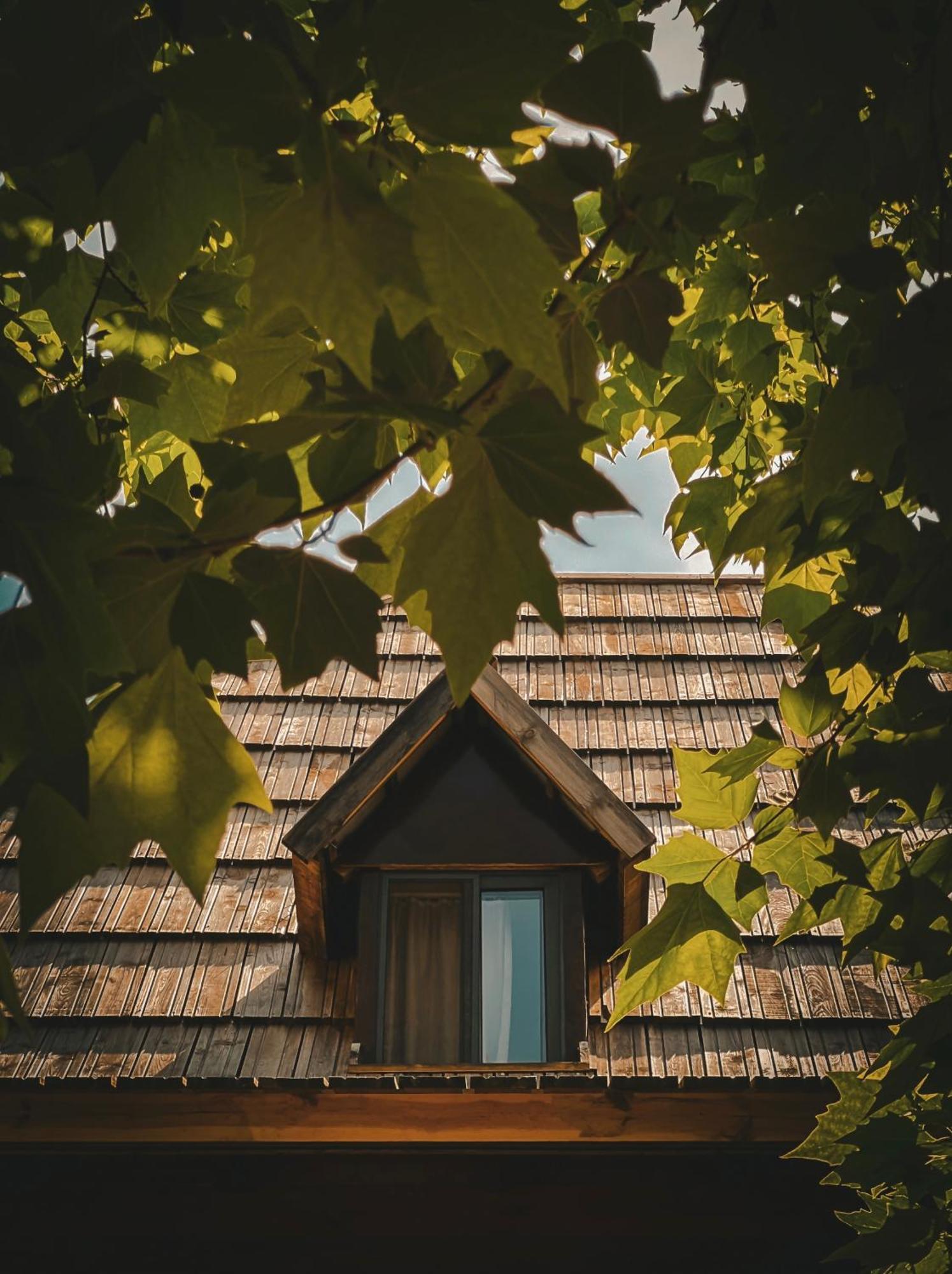 Guesthouse Pashko Theth Εξωτερικό φωτογραφία